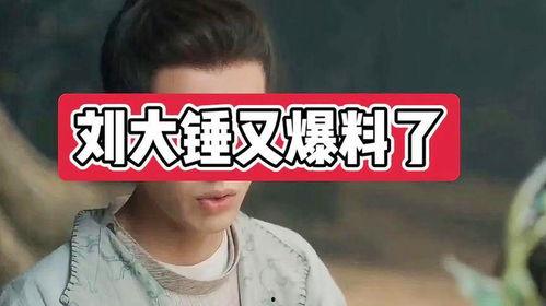 刘大锤爆料完整视频大全